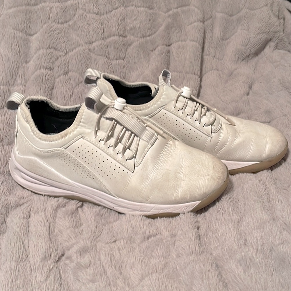 Clove Sneakers